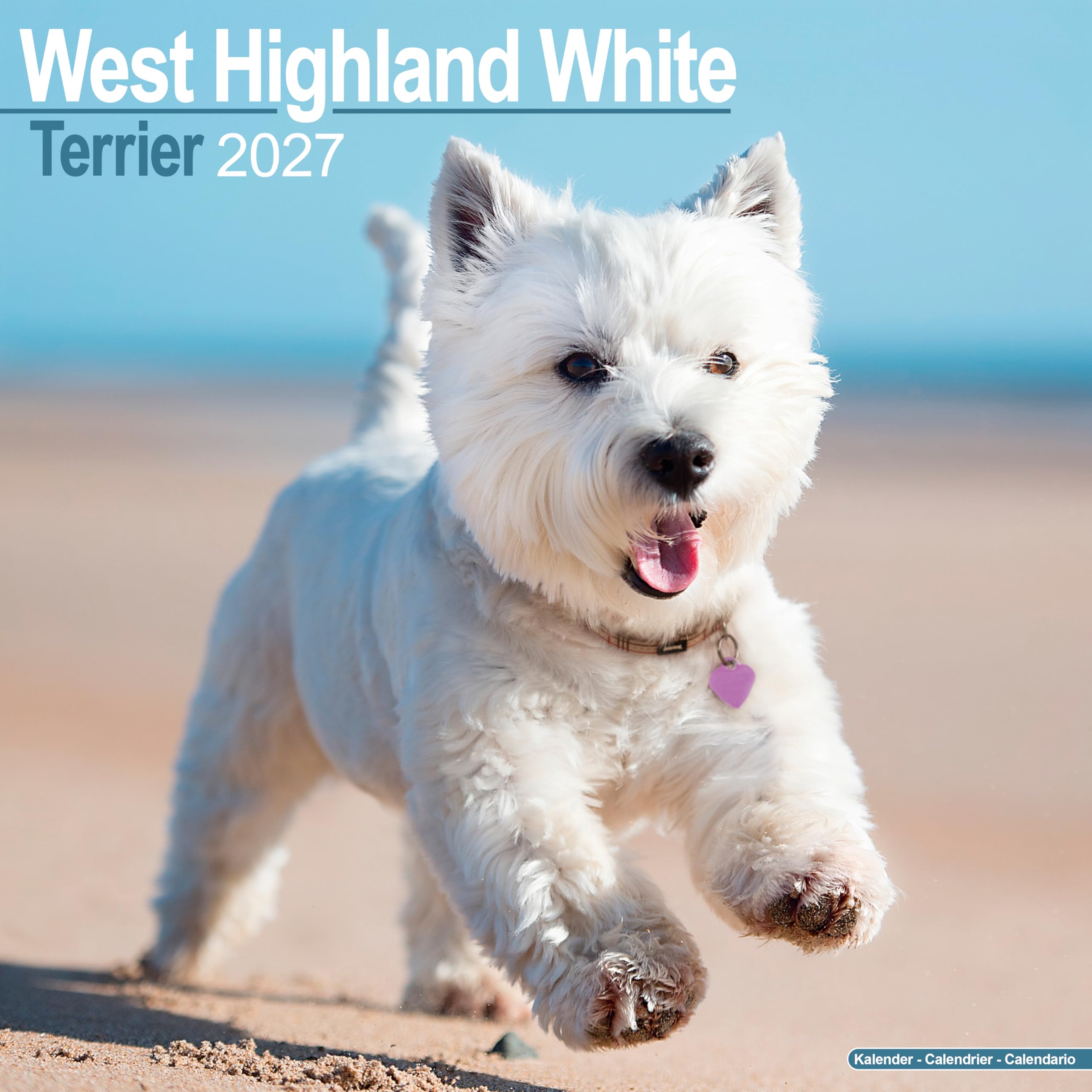 West Highland Terrier 2027 Calendar | Square Wall Calendar | Dog Breed Gift | Plastic Free Packaging | by Avonside Publishing