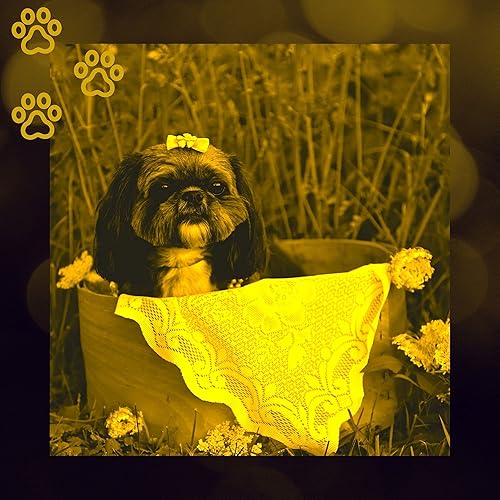 歩く犬 音楽 By 静か 犬のための音楽 On Amazon Music Amazon Com