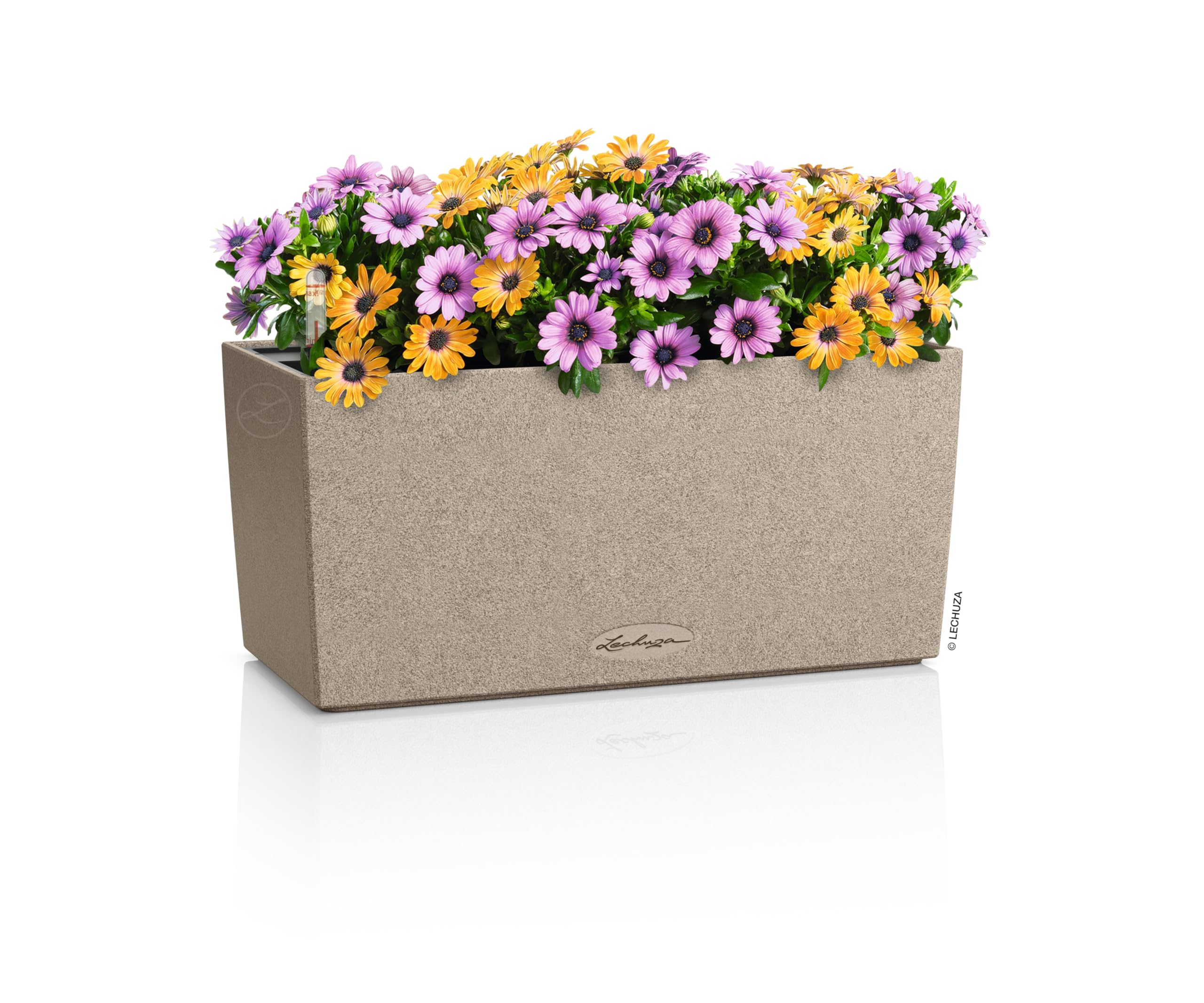 Lechuza-Pflanzgefäß BALCONERA Stone 40 sandbeige, Balkonkasten mit Bewässerungssystem, Wasserstandsanzeiger und Pflanzeinsatz, Stein-Optik, 40 x 19 x 19 cm, 15432 (Packung mit 2)
