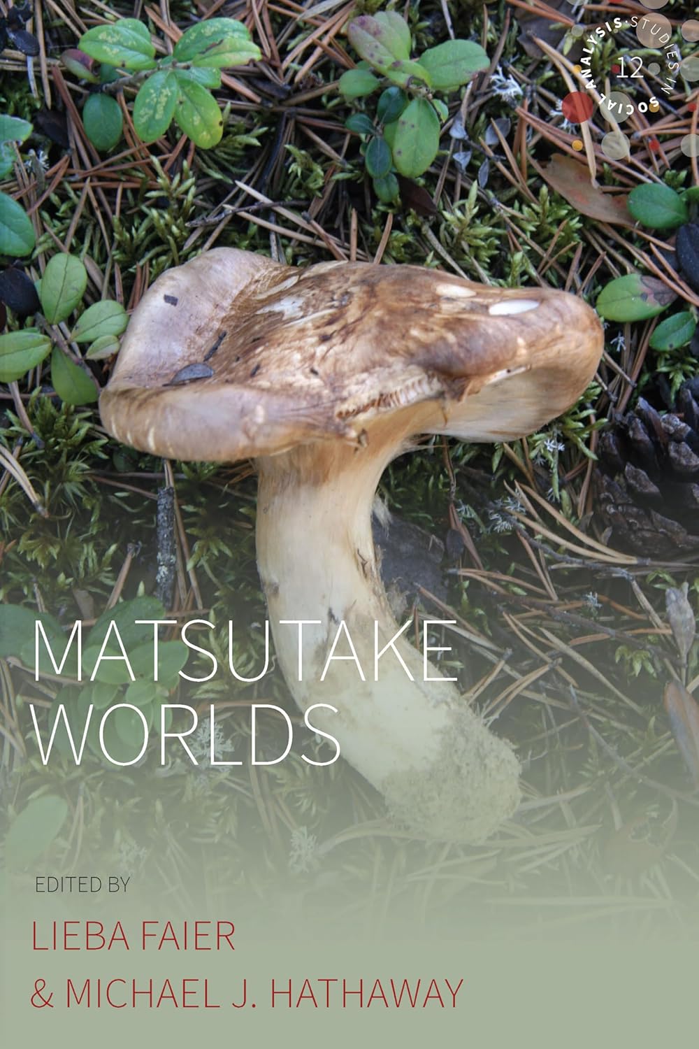 Matsutake Worlds 12