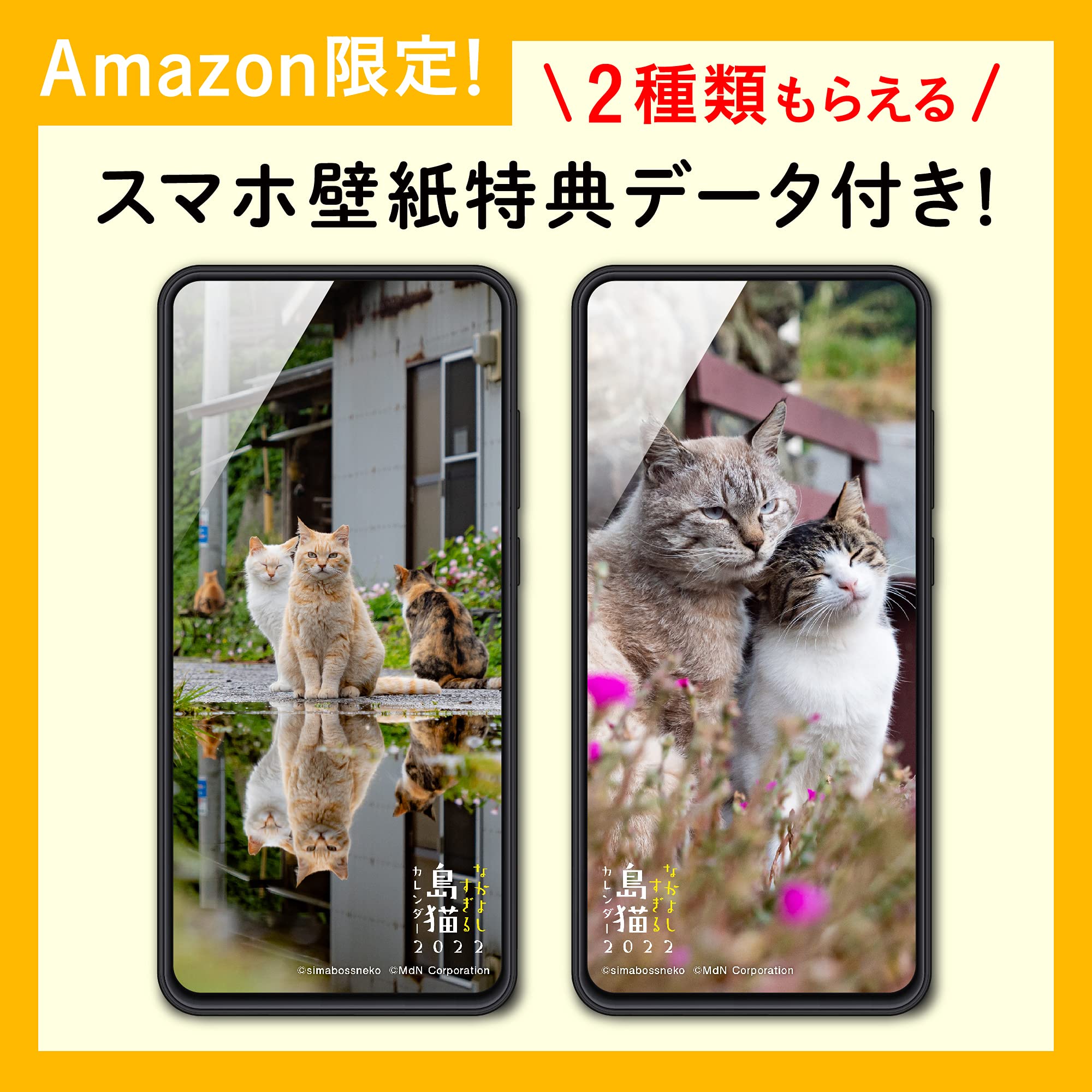 22 なかよしすぎる島猫カレンダー カレンダー Simabossneko Simabossneko 本 通販 Amazon