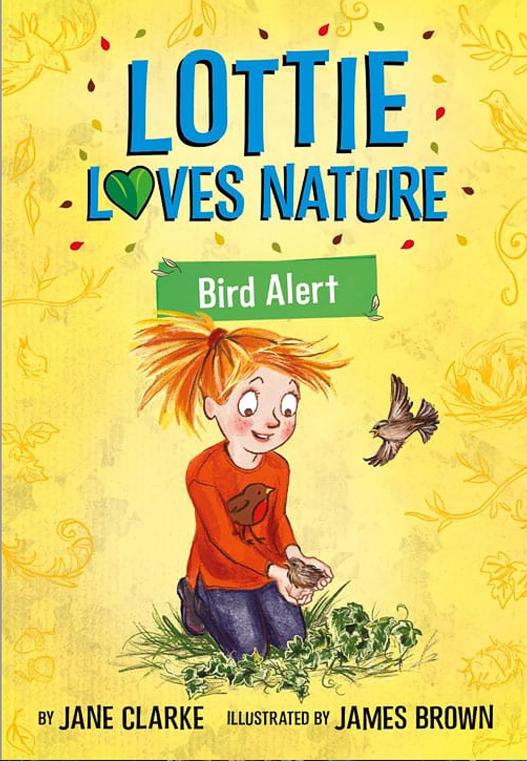 Lottie Loves Nature Bird Alert by Jane Clarke (Paperback Book)