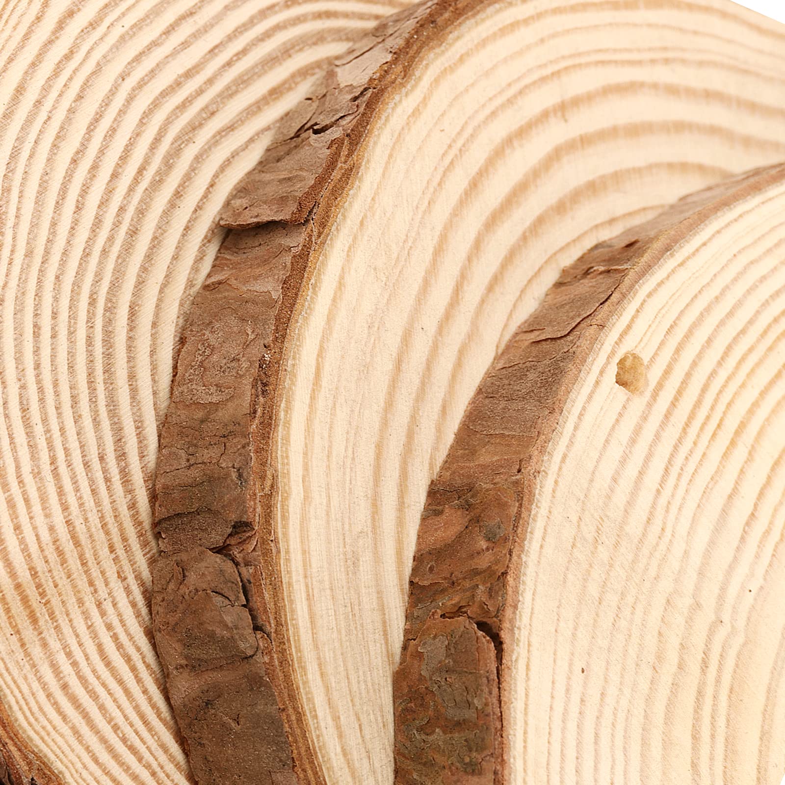 MANCHAP 12 PCS 13-14cm Drilled Hole Wood Log Slices, 1.5cm Unfinished Wooden Discs with Hanging String for Crafts Painting - Image 3