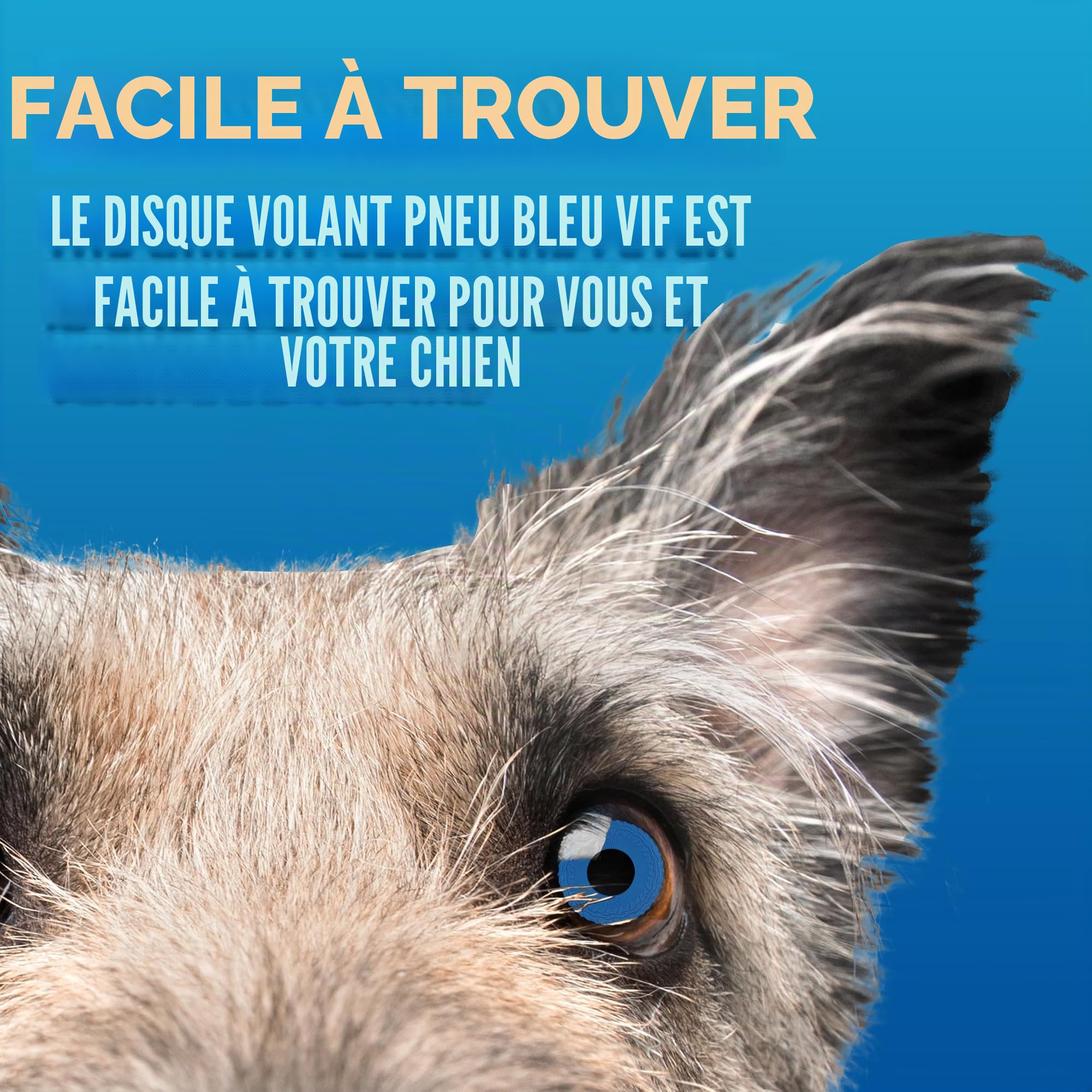 Nerf Dog Jouet pour chien en caoutchouc - Disque volant léger et durable - Flotte dans l'eau - Idéal pour la plage et la piscine - 25,4 cm de diamètre - Pour chiens de taille moyenne et grande - Unité
