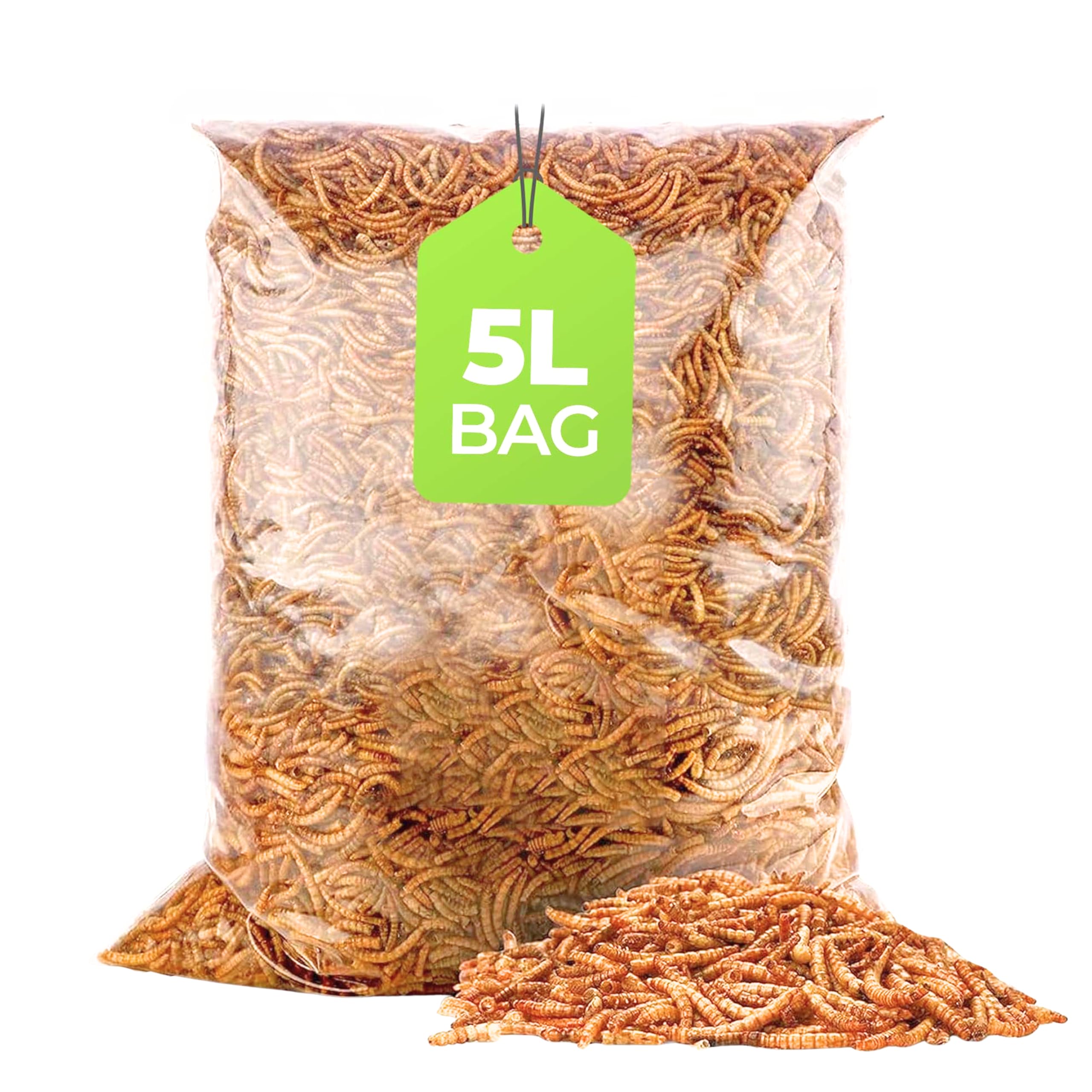 5L Bag) Mealworms for Wild Bird Food- Premium High Protein Dried mealworms for garden birds Treat, Natural Energy Boost for Hamsters, Robins Sparrows Parrots Clean Outdoor Feeding Nutritious Bird Feed