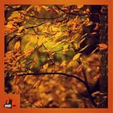 Autumn Leaves - Change the Season on Your Screen