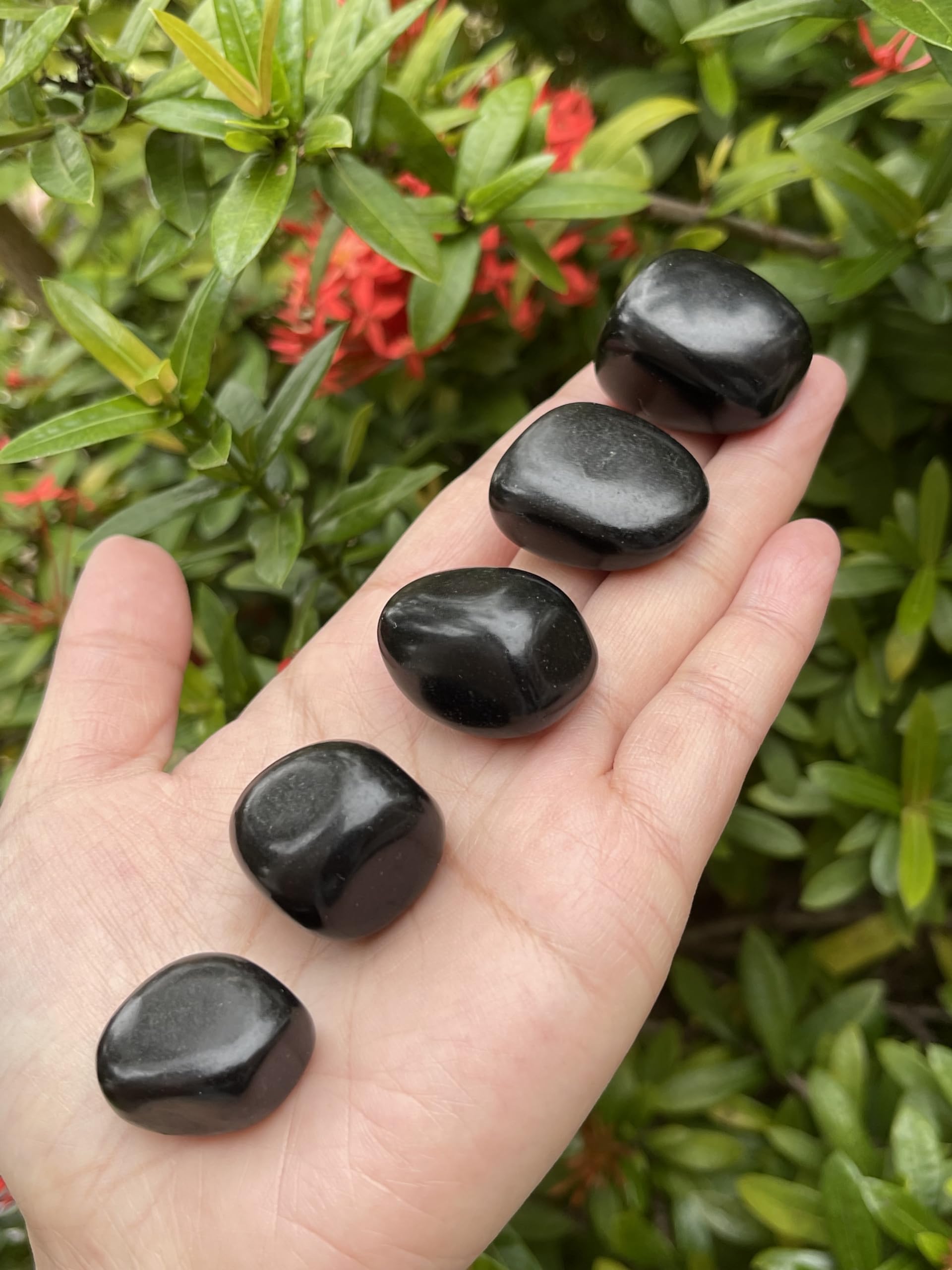 GAF TREASURES 5 Pcs Jet Tumbled Stones, Polished Jet Gemstone, Jet Healing Crystals (Jet)