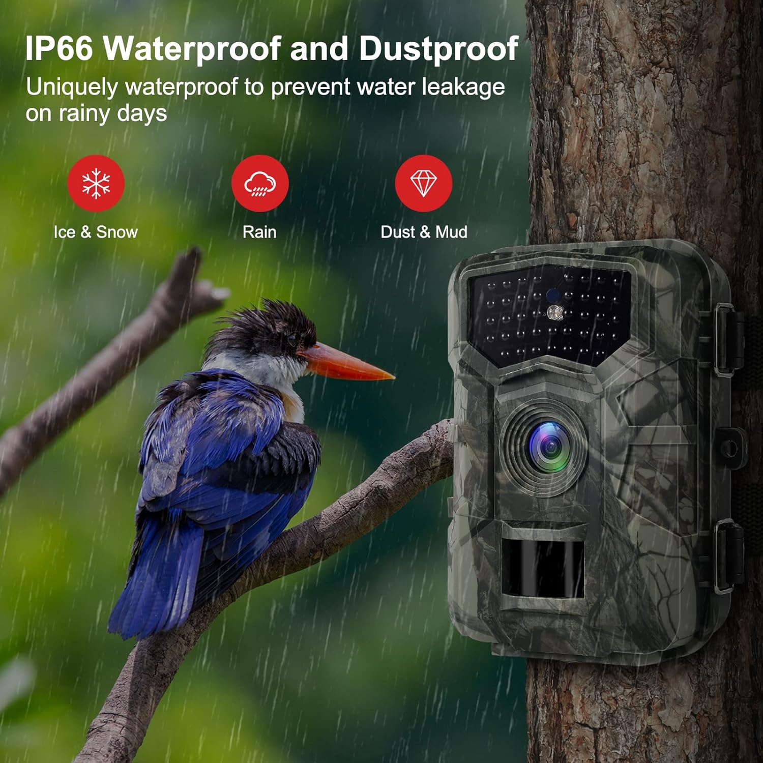 VANBAR Trail Camera 32MP 1080P, Game Camera with Motion Latest Sensor View 0.2s Trigger Time Deer Camera with 40pcs 940nm No Glow Infrared LEDs and IP66 Waterproof 2.0'' LCD for Wildlife Monitoring : Sports & Outdoors