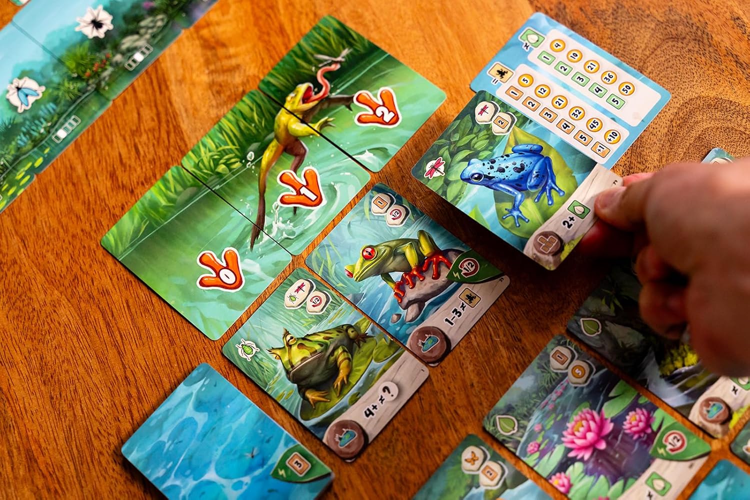 Pondscape, Cozy Family Strategy Card Game for Kids and Adults – for 1–4 Players, Ages 8+ – Family Games Night Essential