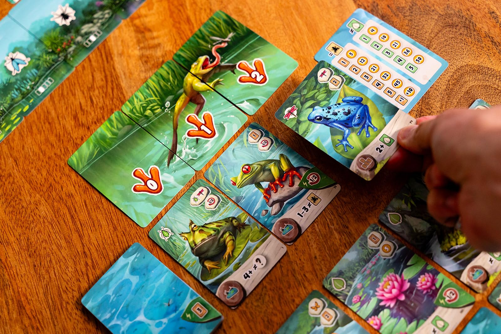 Capstone Games Pondscape - Gioco di carte strategico per adulti e ragazzi, 2 giocatori | o altro - Gioco di carte asimmetrico, misterioso, basato sul ruolo e tematico per il divertimento notturno e in famiglia
