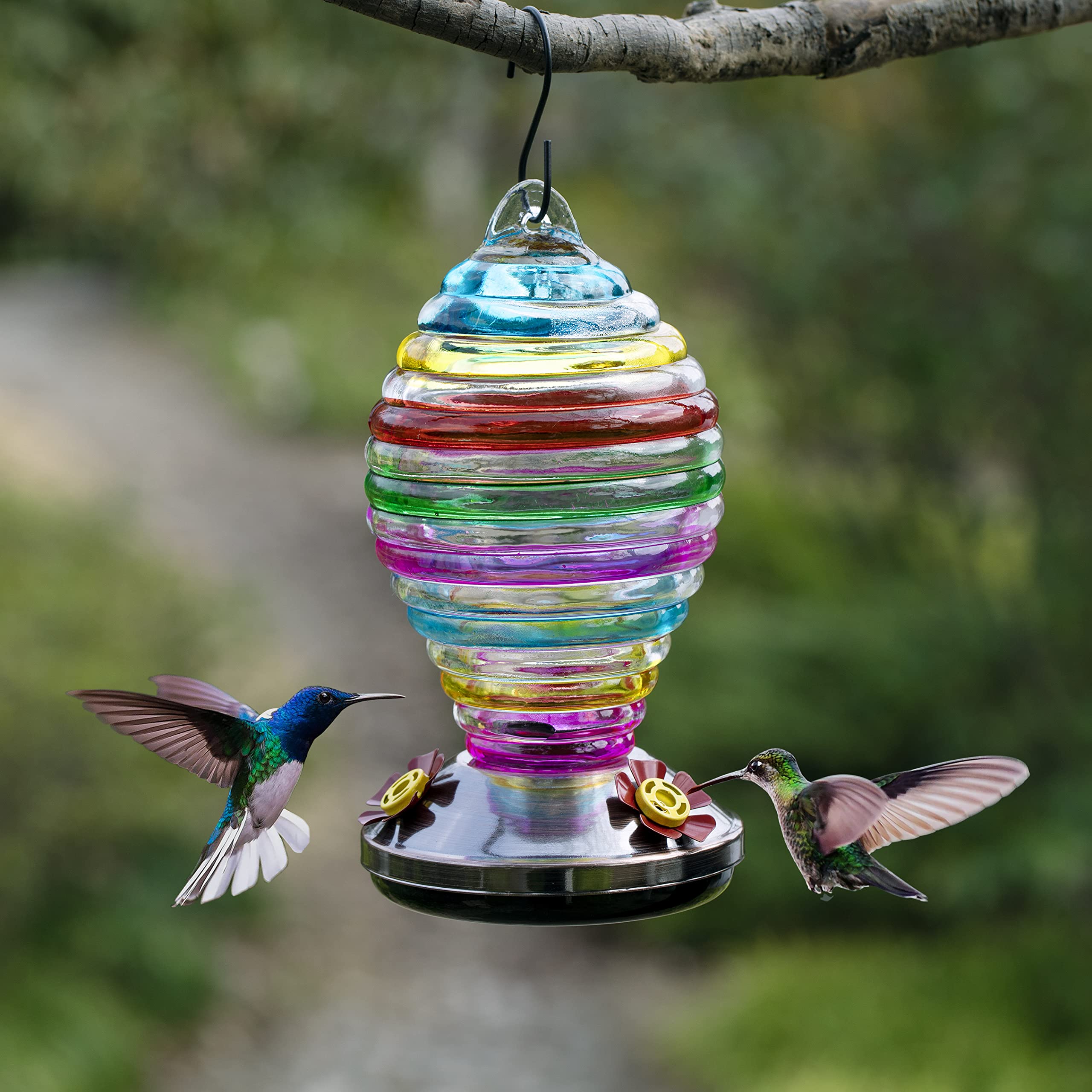 Mangiatoia per colibrì in vetro da 740 ml, per uccelli selvatici, decorazione da giardino, regalo unico per osservatori di uccelli selvatici e bambini, facile da installare, ricarica pulita, include