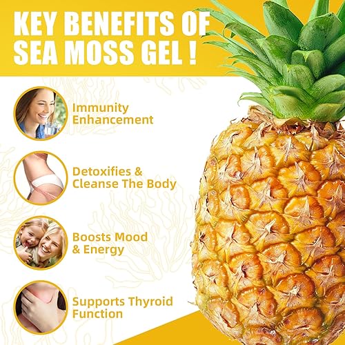 Miniatura 3 de NutriVigor Gel de musgo marino, (12 onzas) de musgo marino orgánico avanzado, apoyo inmunológico y digestivo, suplementos de gel de masa marina