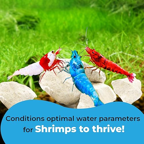 Miniatura 4 de JOR Rocas de calcio para camarones, isópodos, cangrejos de río, loro y caracoles, 3.53 onzas, añade vitalidad a la vida acuática, ideal para