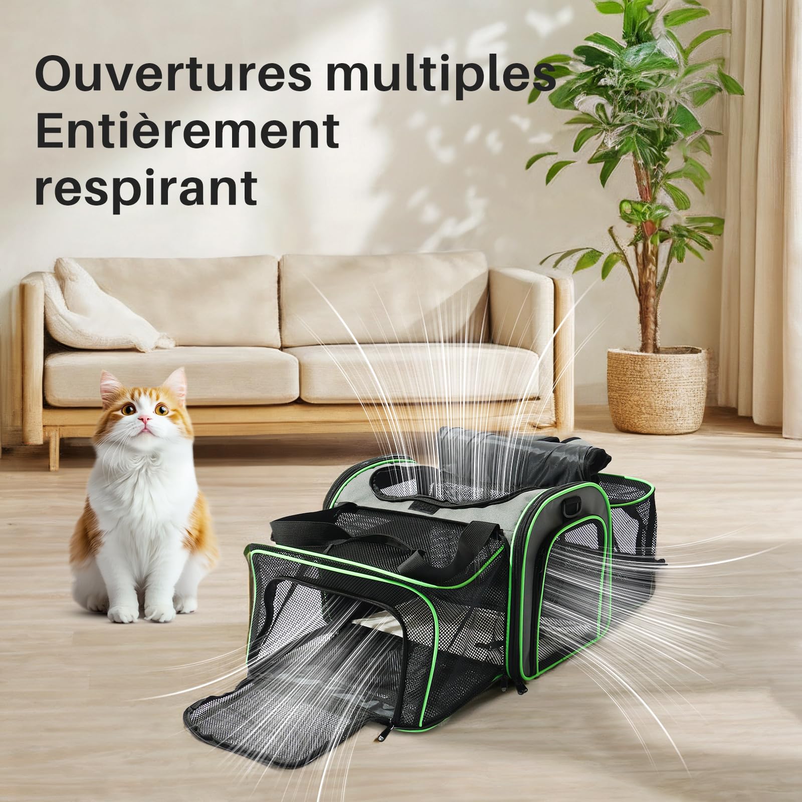 Gardner Pet Sac Transport pour Chat Chien Extensible, Grand Caisse de Transport Chat Respirant et Pliable, Cage Transport Chat pour Voyage en Avion/Train/Voiture - L/Gris