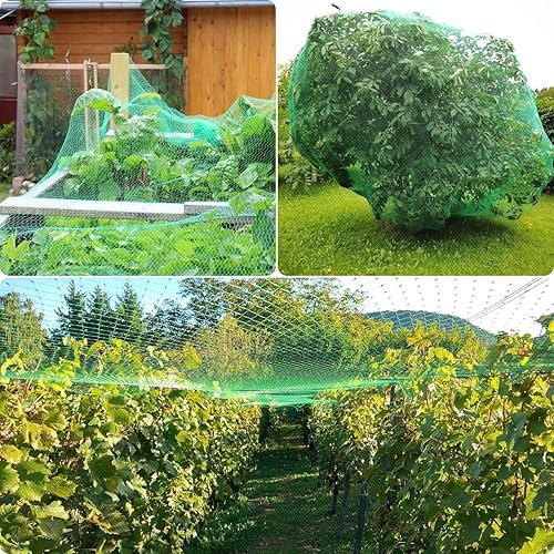 Miniatura 7 de Red de protección para pájaros para jardín, 13 pies x 33 pies, red verde de protección antipájaros, red de árboles para plantas para proteger frutas