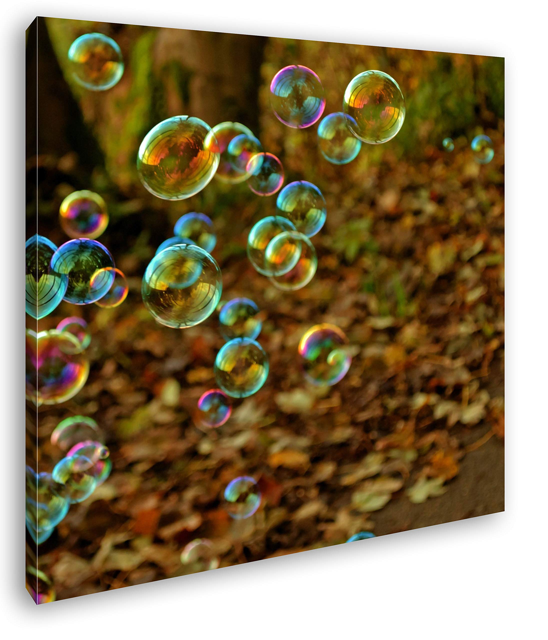 Impression sur toile haute qualité de bulles en forêt avec cadre en bois véritable 60x60