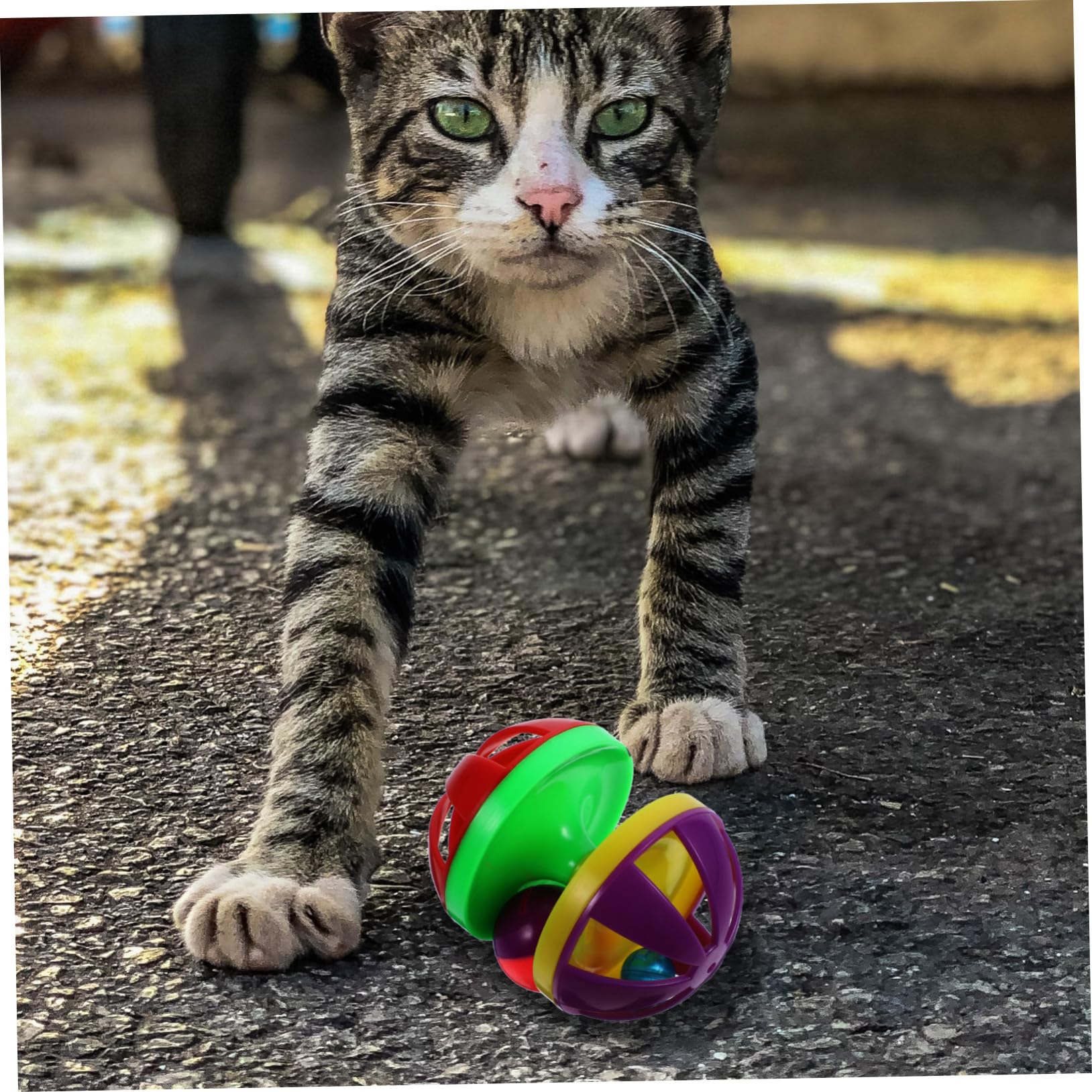 Didiseaon 12 Piezas Juguetes para Mascotas para Gatos con Cascabeles Suministros para Mascotassuministros para Mascotas Juguete para Gatos Campanillas Pelota De Juguete Gatito
