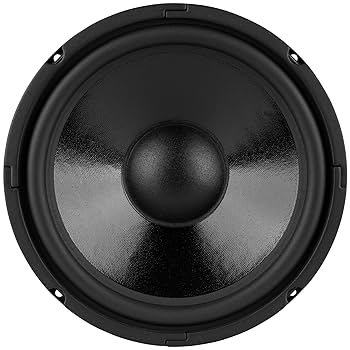 Amazon | 【国内正規品】Dayton Audio DC250-8 クラシック