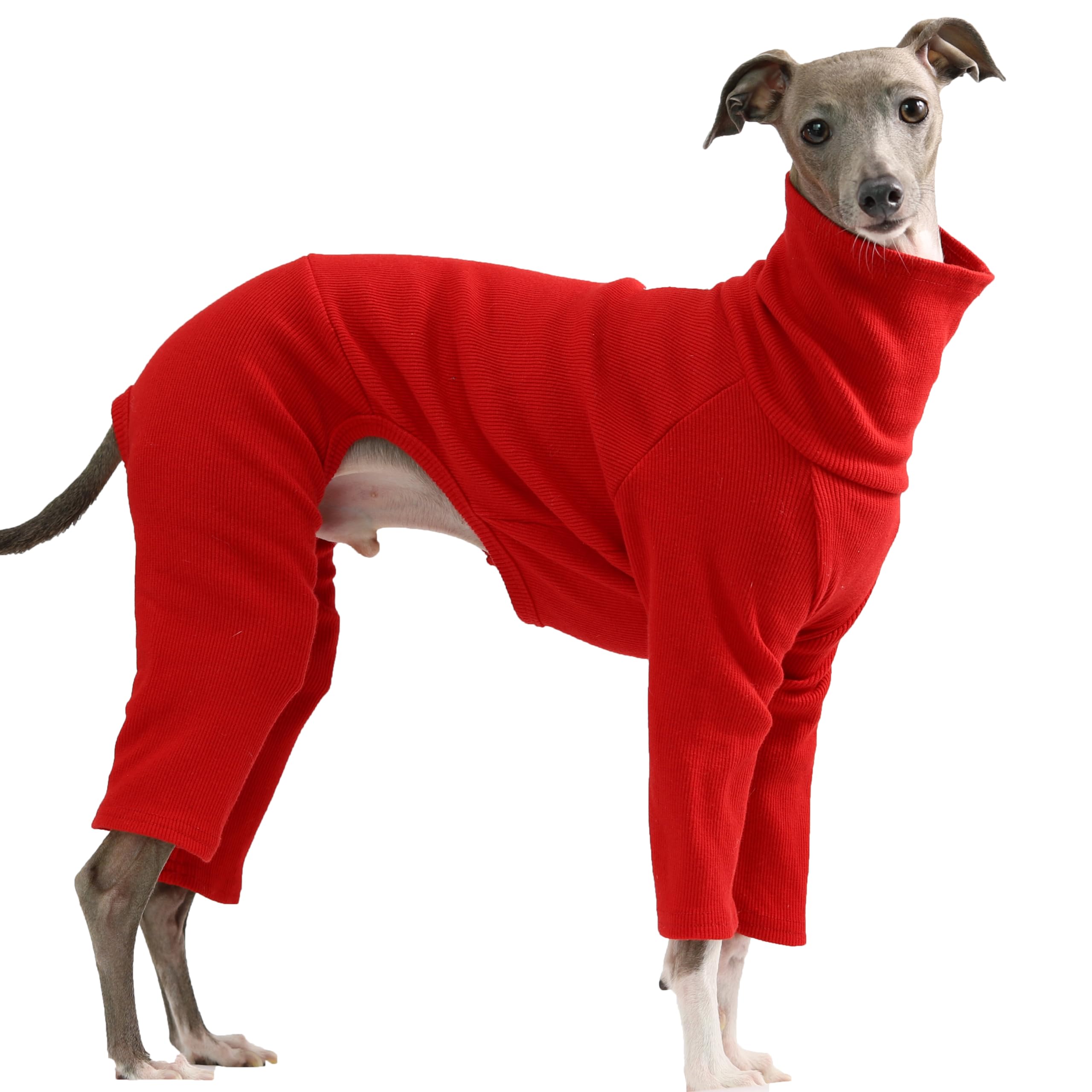 D DOGGY STAR - Italian Greyhound Stretchy Dog Clothes (S, Ribbed Red) โ image 1