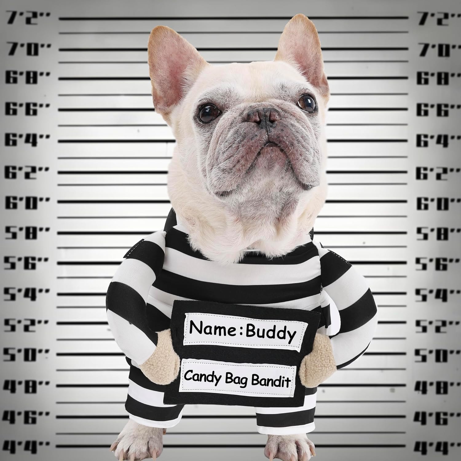 Dog Prisoner Costume with DIY Hand-Written Sign and Crime Board - Halloween Inmate Dog Costume Funny Jail Costumes, Convict Cosplay Pet Criminal Outfit with Arms for Small Medium Large Dogs, Medium M: Neck 13-18", Chest 15-25", Weight 13-38 lbs