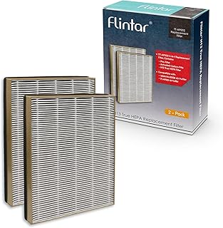 True HEPA Replacement Filter, Compatible with TaoTronics TT-AP002 Air Purifier and VAVA VA-EE008 Air Purifier, 3-in-1 Premium H13 Grade True HEPA Filter, 2-Pack (2)