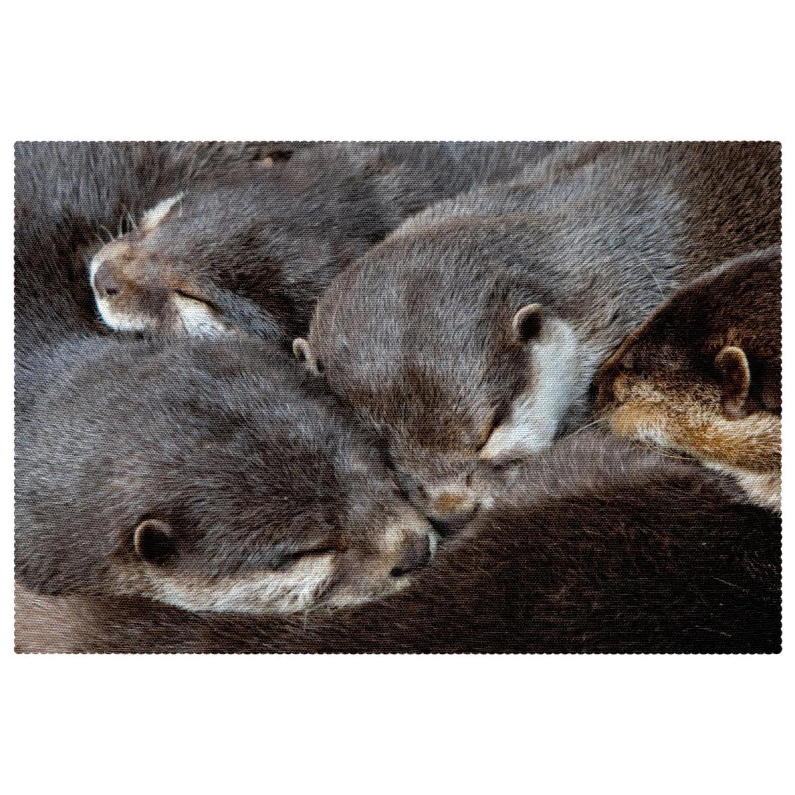 Set de table loutre mignonne x6 pour salle à manger 30x45 cm