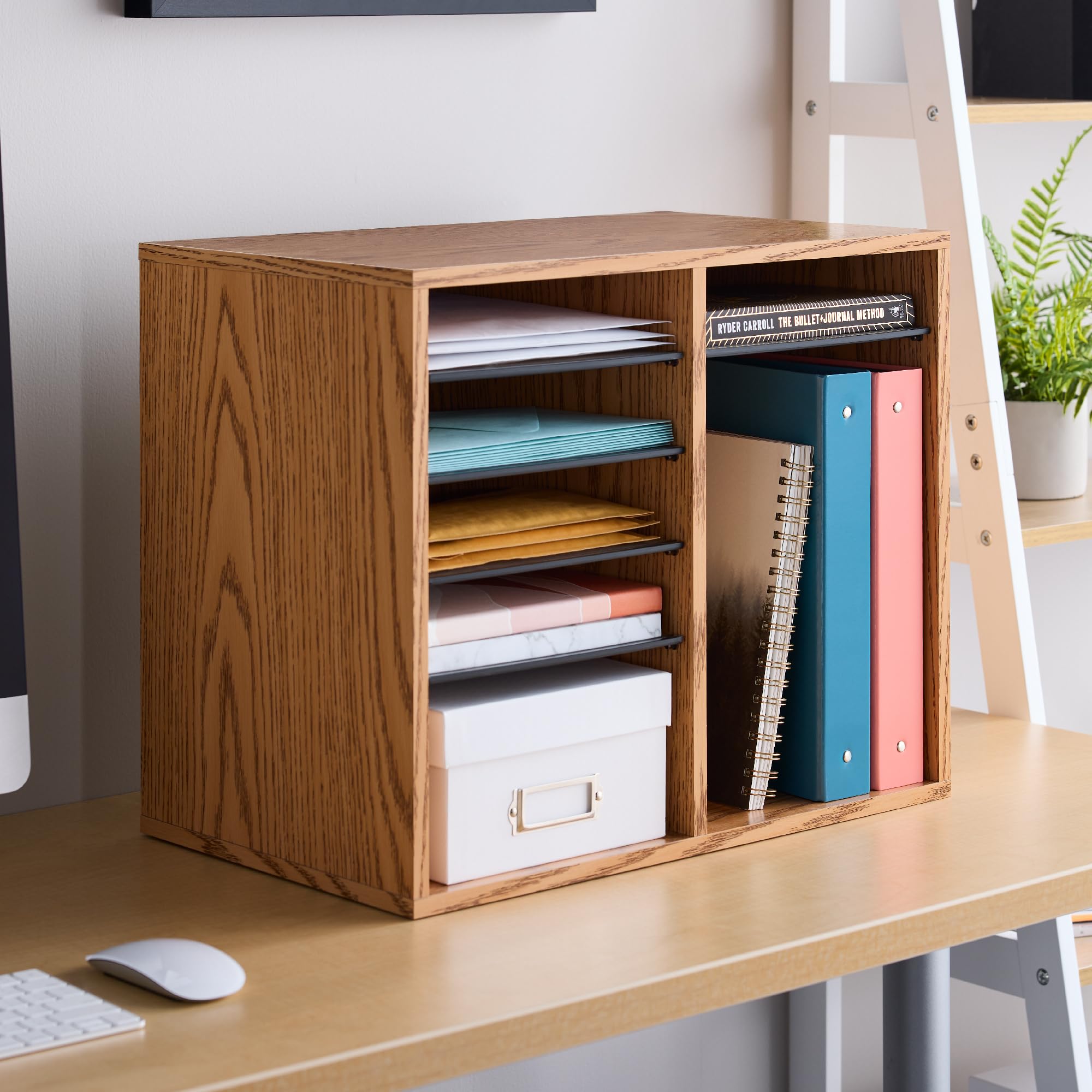 Amazon.com : Safco 9420MO Adjustable Literature & Paper Organizer