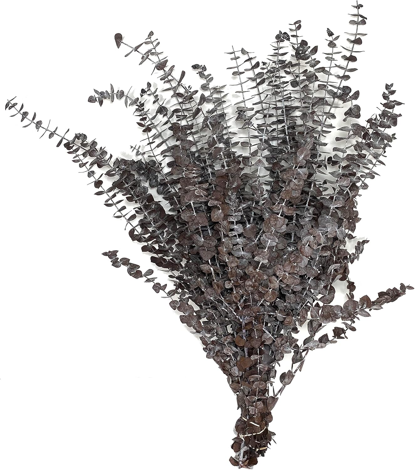 CalCastle Craft California Grown Natural Dried Preserved Eucalyptus Branches Bundles of Stems and Leaf Large 30" Tall Bulk 1 LB / 8 OZ (Frosted Brown - 16 oz)