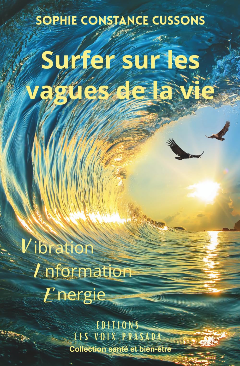 Surfer sur les vagues de la vie: Vibration - Information - Énergie