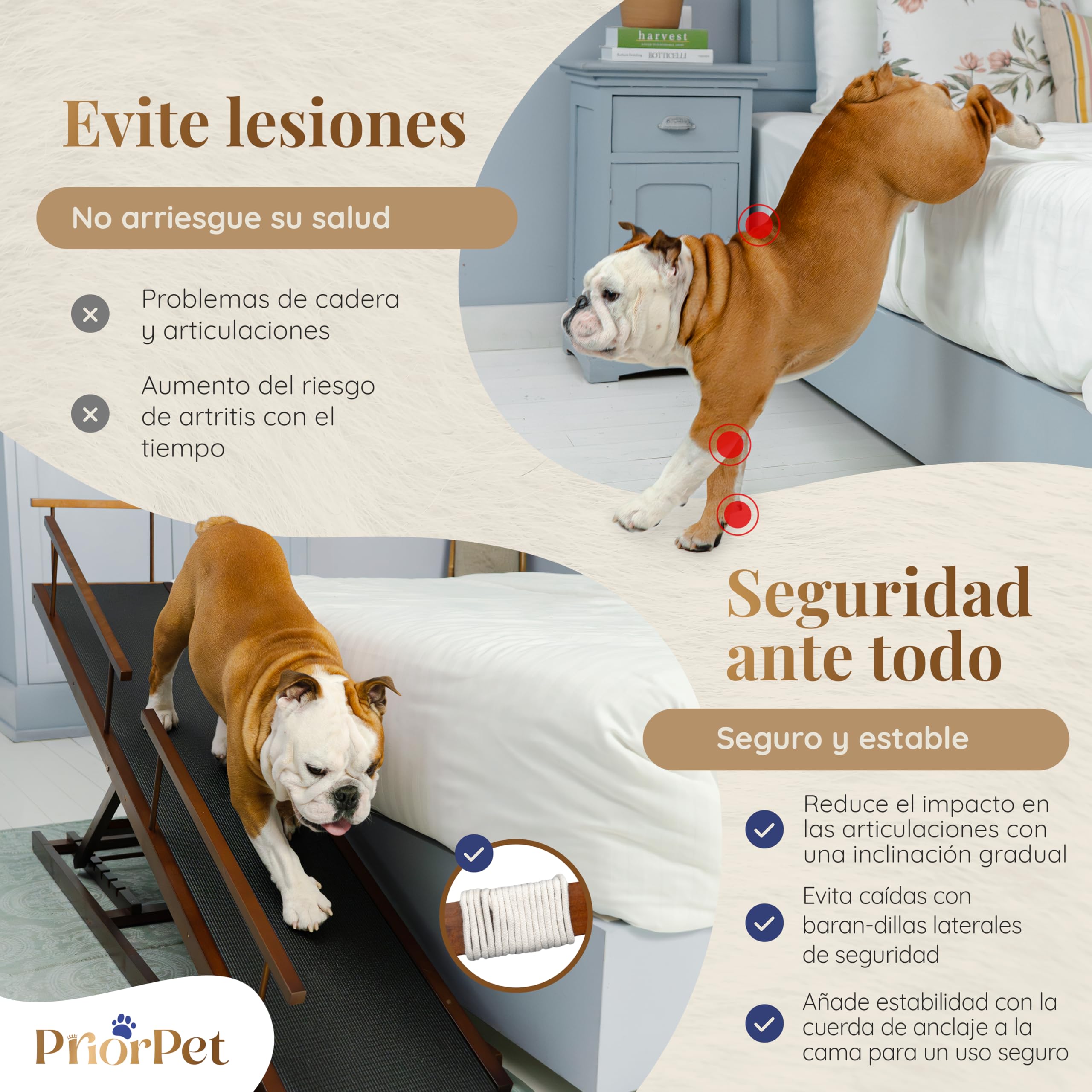 Rampa para Perros para Cama con Rieles de Seguridad PRIORPET - Madera de Abedul - Ajustable - para Camas Altas de hasta 94.5 cm - Plegable - Agarre Antideslizante - para Perros de hasta 23kg - Nuez