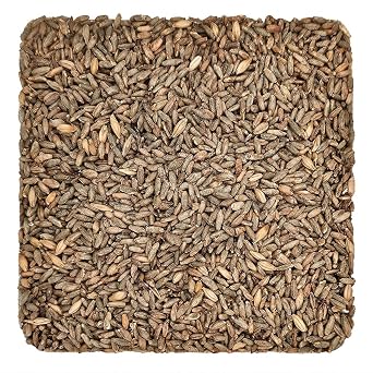 Briess Rye Malt, 5 Lb