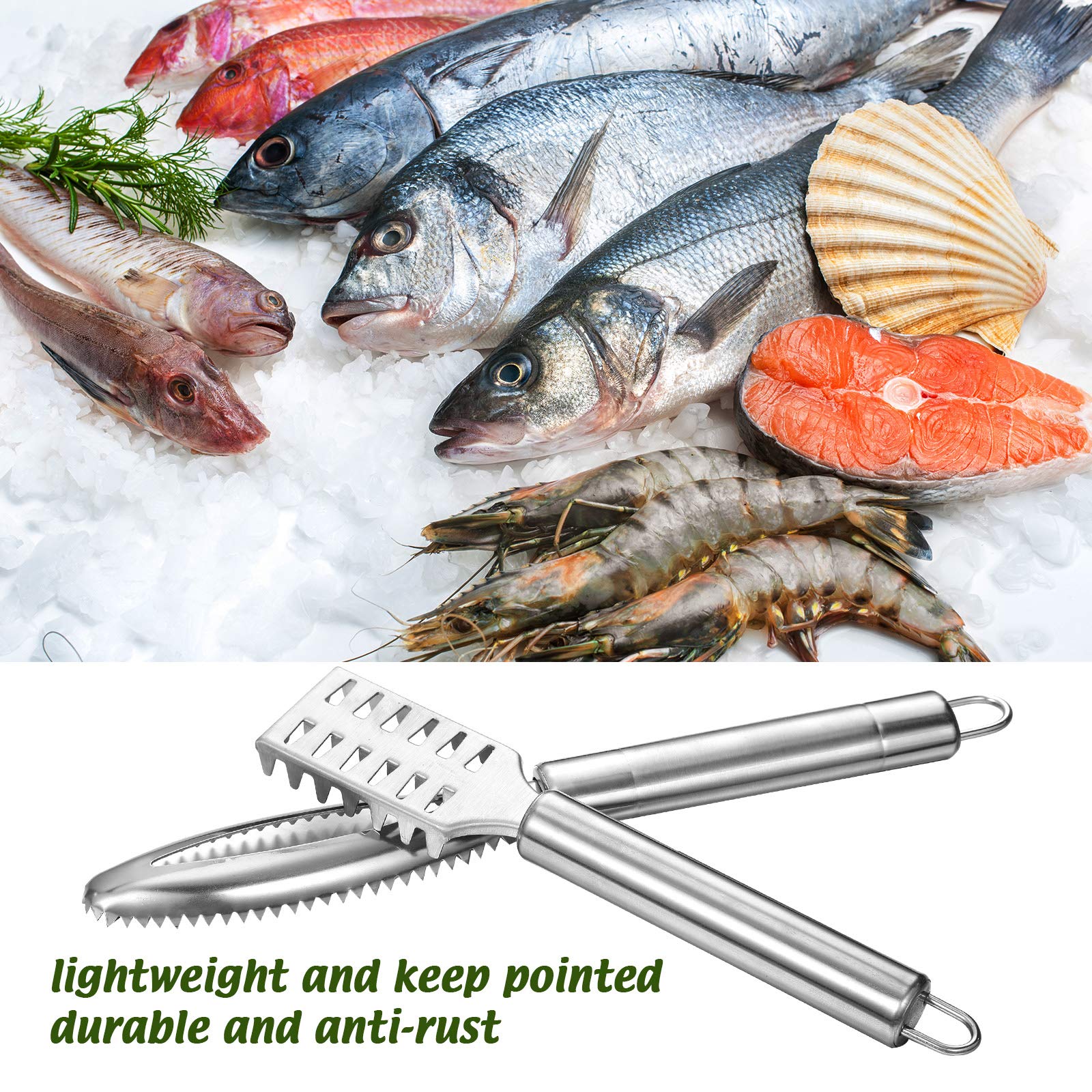 Fish Scraper BZVCRTYKL Fish Scaler Brush Fish Scaler Remover With