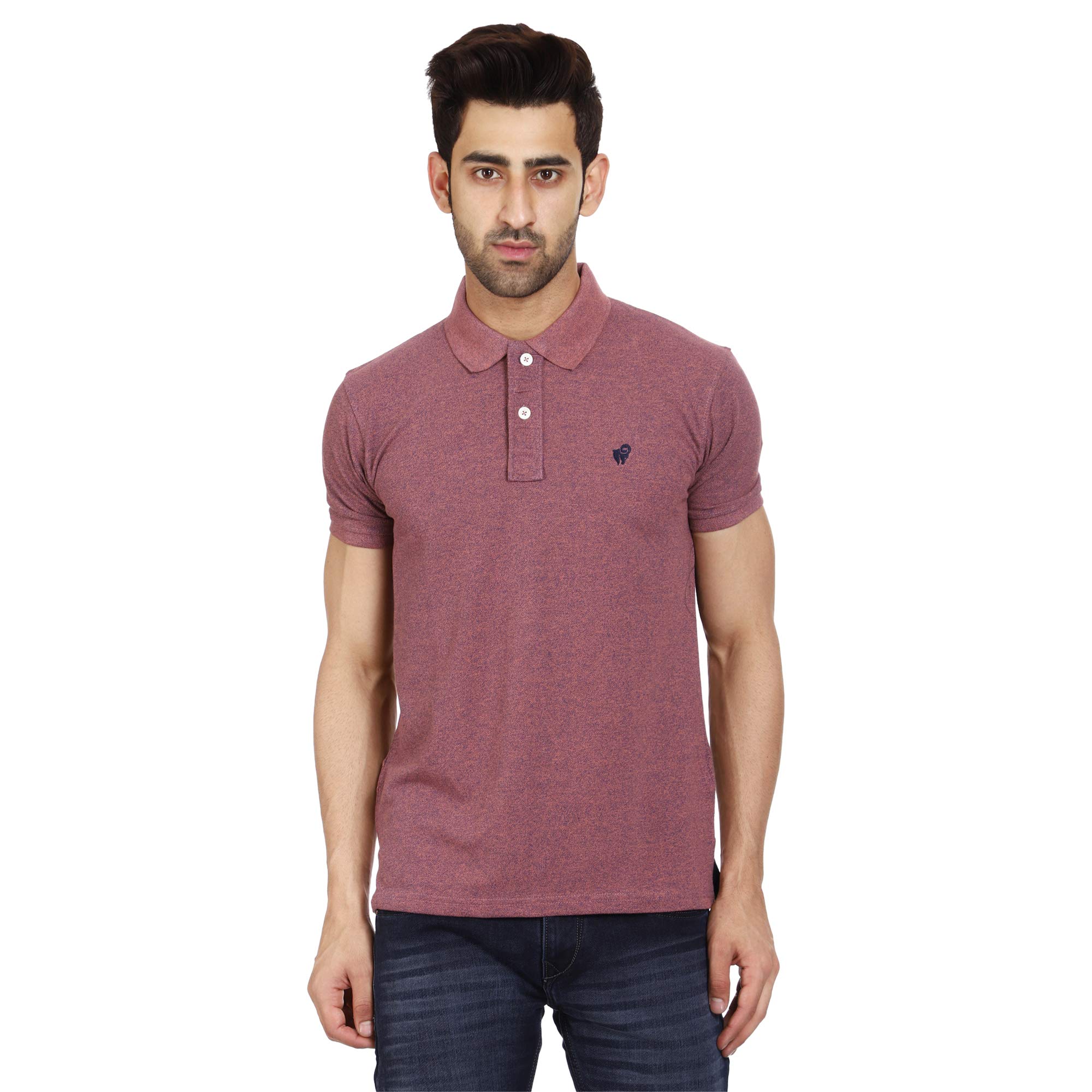 Rich Solid Polo Shirt