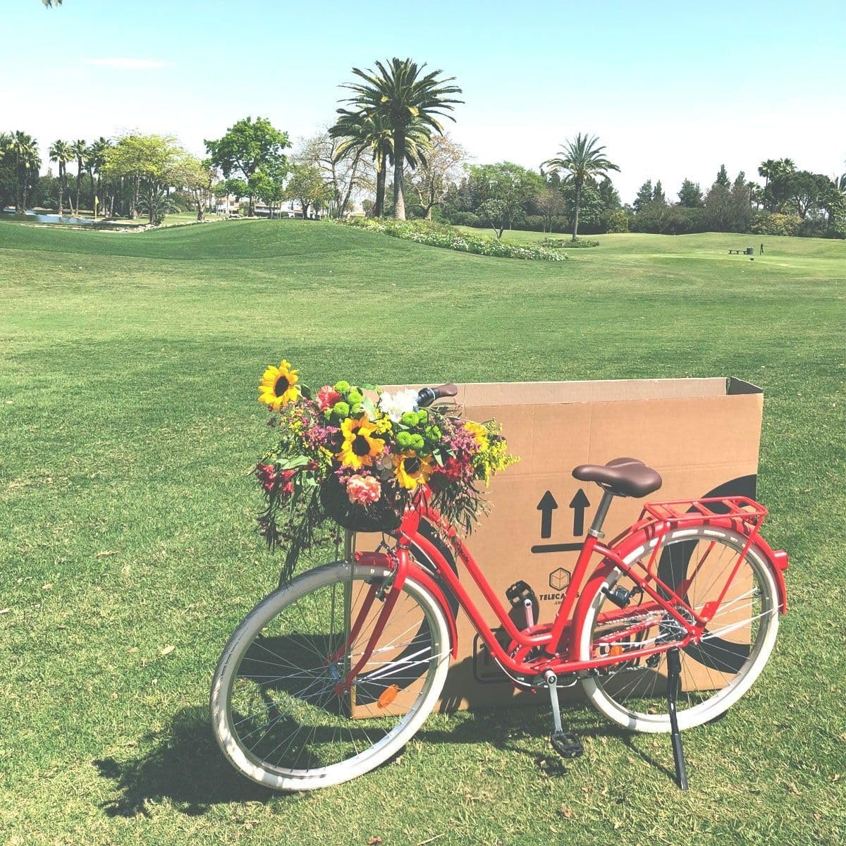 TELECAJAS | Caja para Bicicleta de Cartón Reforzado – Doble Onda, Solapas Dobles y Asas Resistentes – Ideal para Envío, Mudanzas o Almacenamiento – 140x25x80 cm con | Cinta Adhesiva Regalo
