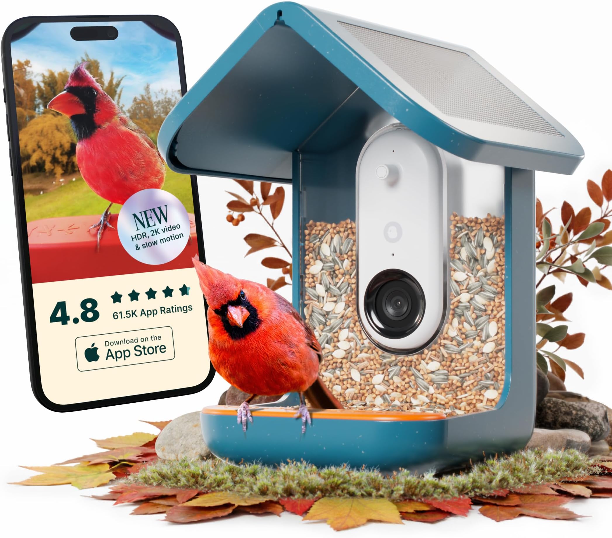 Bird Buddy PRO Solar Smart Bird Feeder with Camera - AI Bird Species Identification, 5MP Photos, 2K HD Video Live Stream Camera, Slow Motion Video, 2.6" Focus - Blue Solar