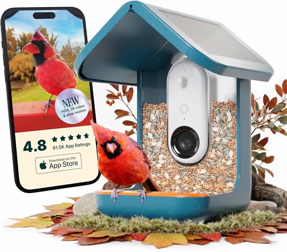 BirdBuddy PRO Solar Smart Bird Feeder with Camera