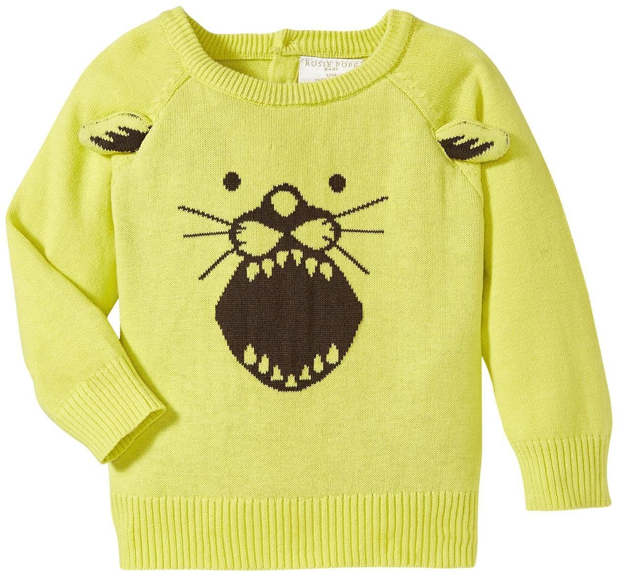 Rosie Pope Baby Boys' Sweater Rpb10331-06, Multi-Colored, 18 Months