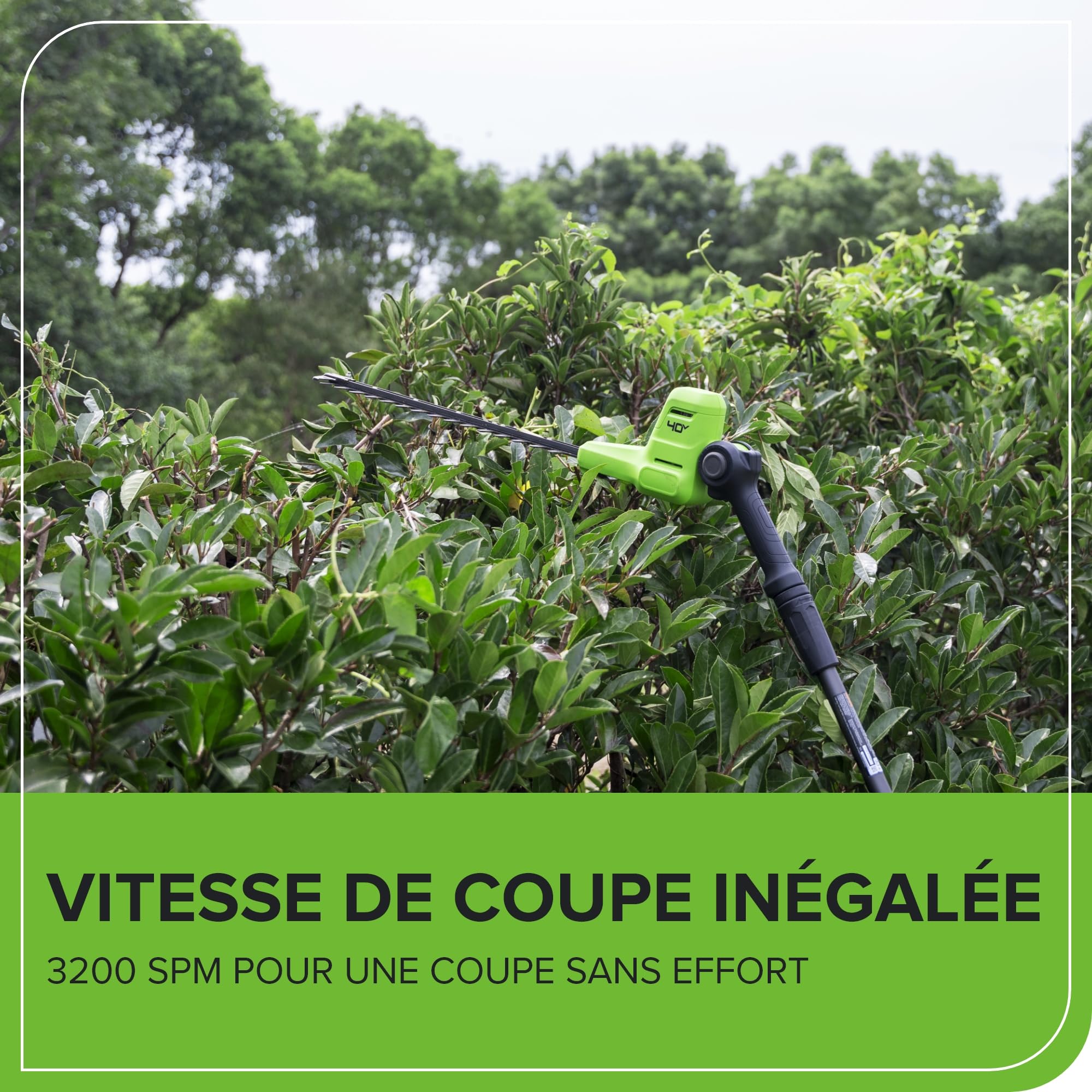 Greenworks 40V Taille-Haie sur Perche, Lames Double Action 51 cm, Coupe jusqu'à 28 mm Épaisseur Branche, Tête Pivotante 112.5°, 3200 TR/Min sans Batterie ni Chargeur, Garantie de 3 Ans PH40B01-01