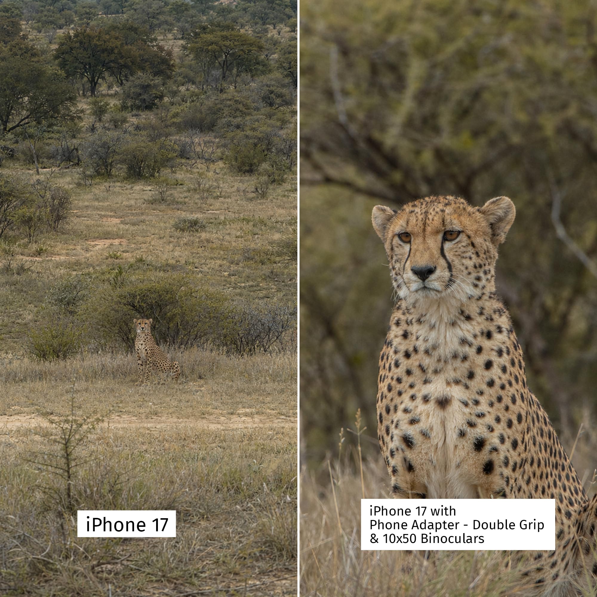 Universeller Spektiv-Telefonadapter Doppelgriff-Teleskop-Handyhalterung für Digiscope Fotografie Fernglas-Halterung iPhone
