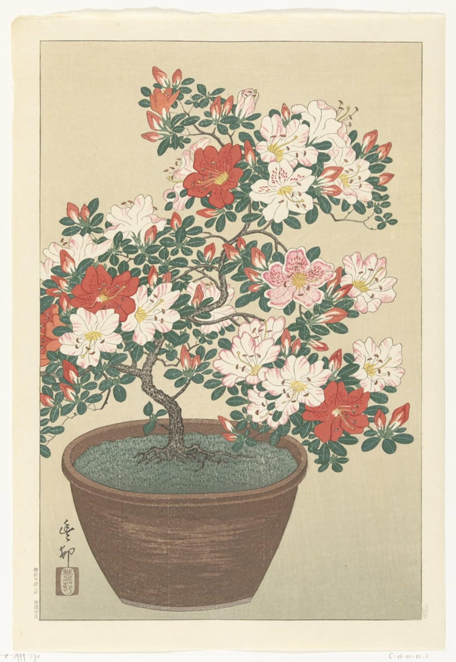 RZHRHJES Famous Painting Poster Art Canvas Print Retro Picture headed Dewlap and Spider by Ohara Koson Poster Wall Art for Home Decor 60x90cm