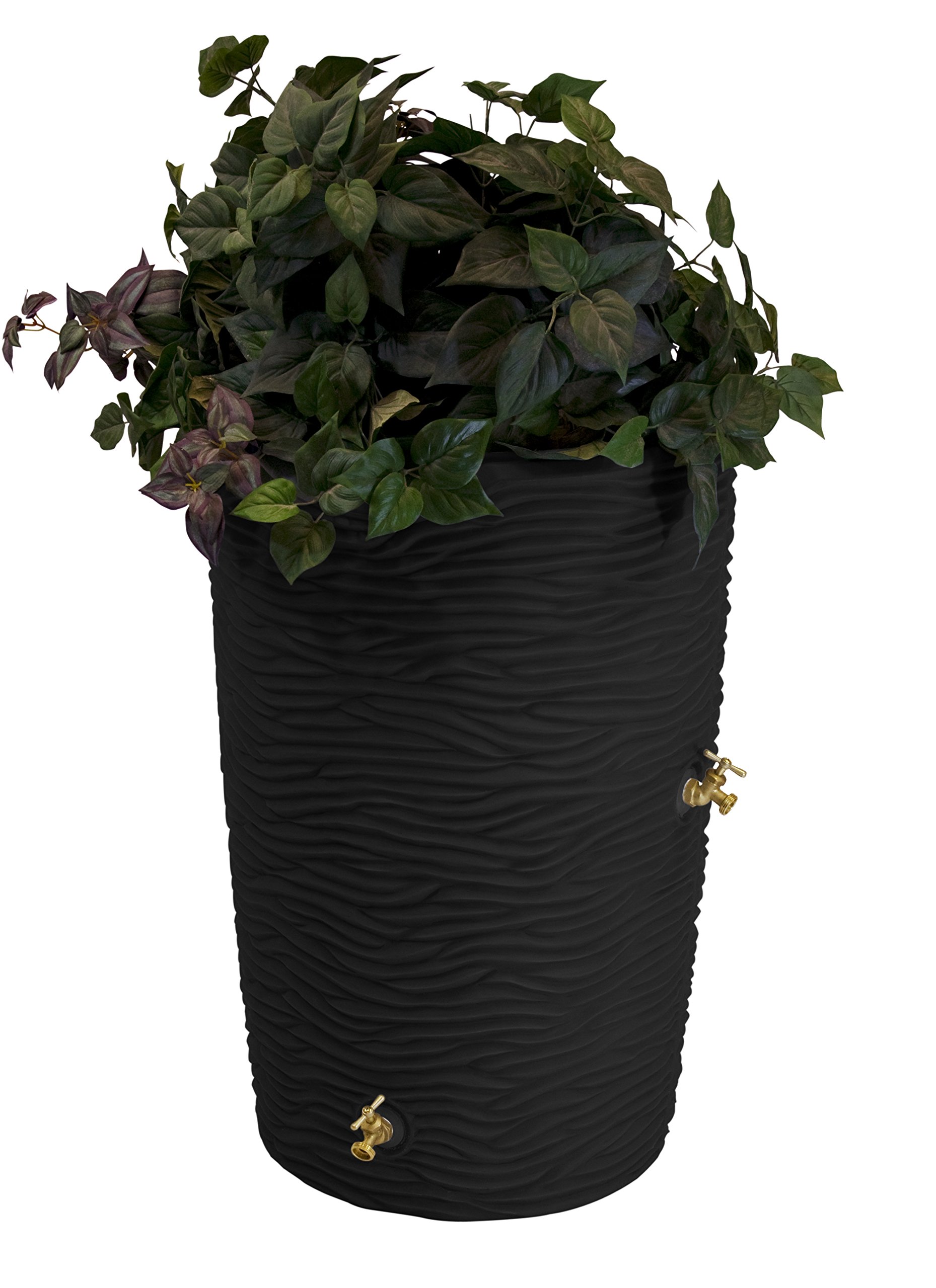 Good Ideas Impressions Palm 50 Gallon Black