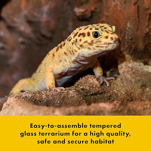 Miniatura 4 de Zilla QuickBuild - Hábitat de terrario de vidrio para reptiles de 20 galones con puerta batiente para geckos, serpientes, lagartos, ranas, tortugas