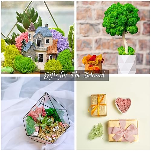 Miniatura 6 de CCINEE Musgo preservado, musgo de reno falso de 4 onzas para plantas en maceta para manualidades, decoración floral de pared, centros de mesa de