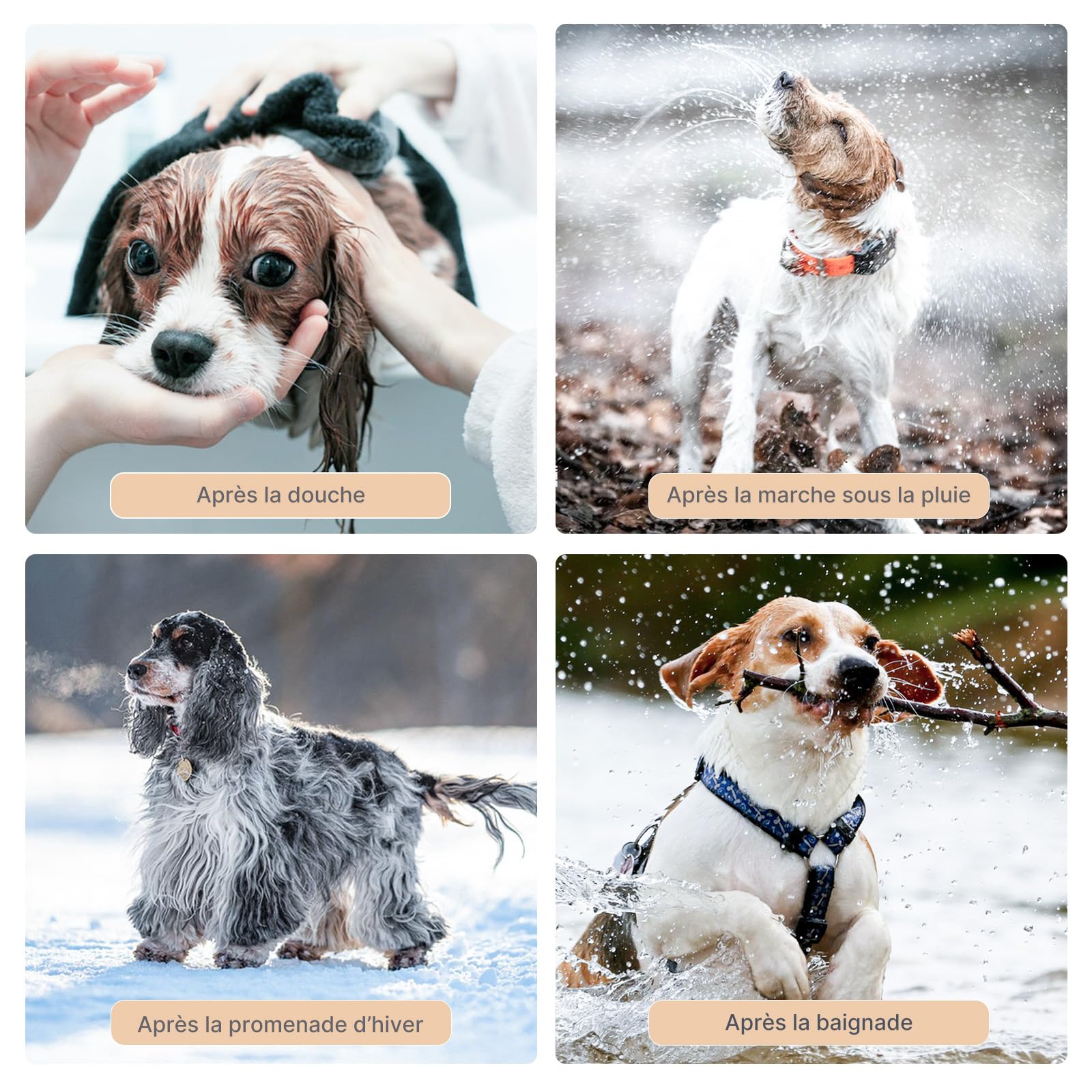 Pet Dryer - Sèche-cheveux pour chien - Efficace à 360 ° - Automatique et silencieux - Avec réglage intelligent de la température - Idéal pour les chats et les petits chiens