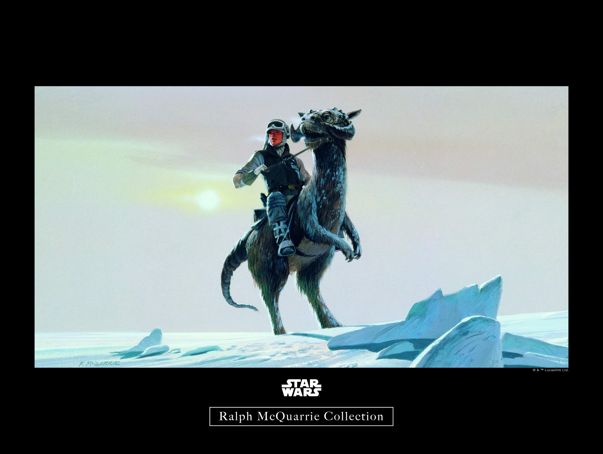 KomarWall Picture Star Wars Classic RMQ Hoth Tauntaun Children's Room Art Print Without Frame Available in 3 Sizes, Colourful, WB149-40x30