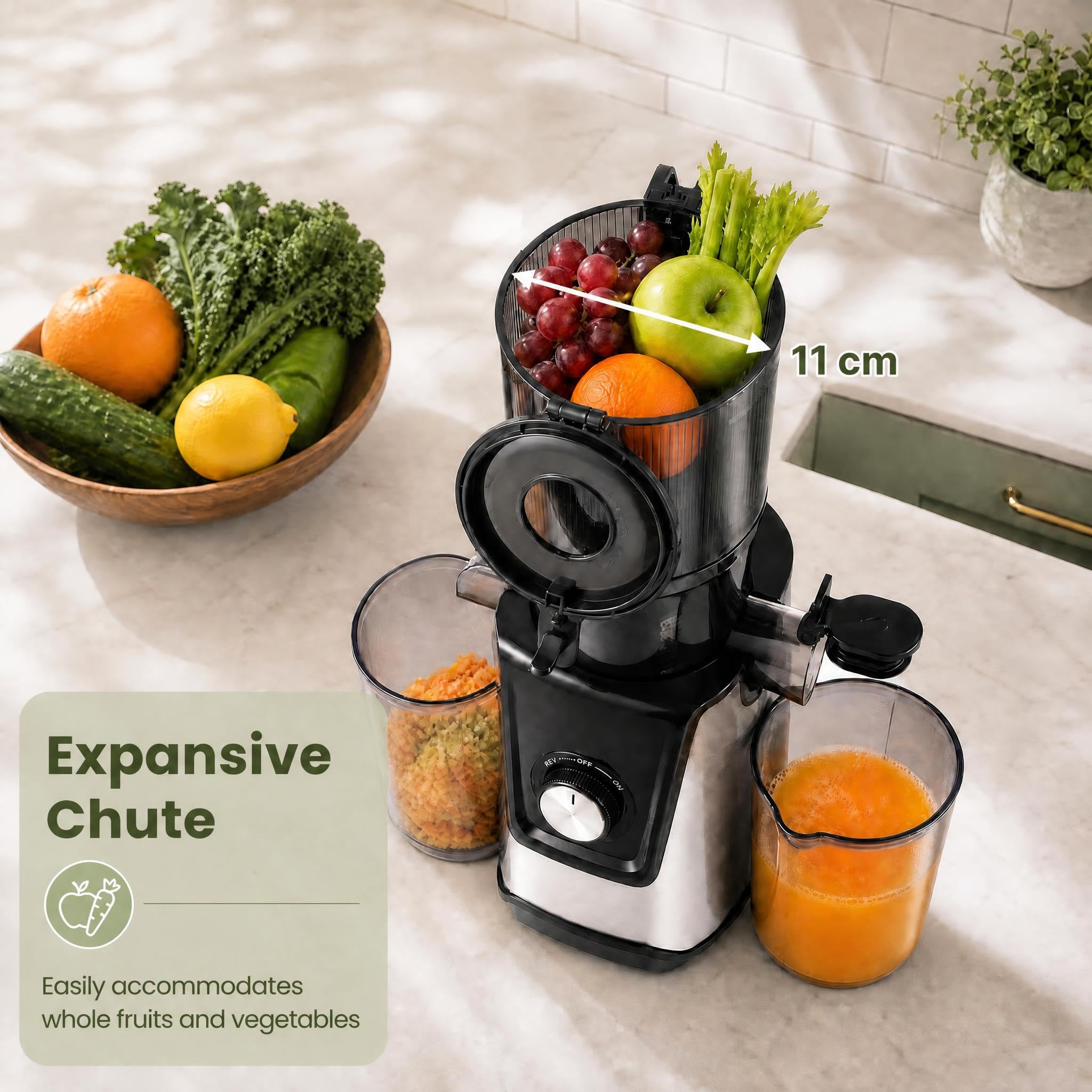 LIFEZEAL Extracteur de Jus à Froid Lent 160w Fruits Legumes Rendement 99%