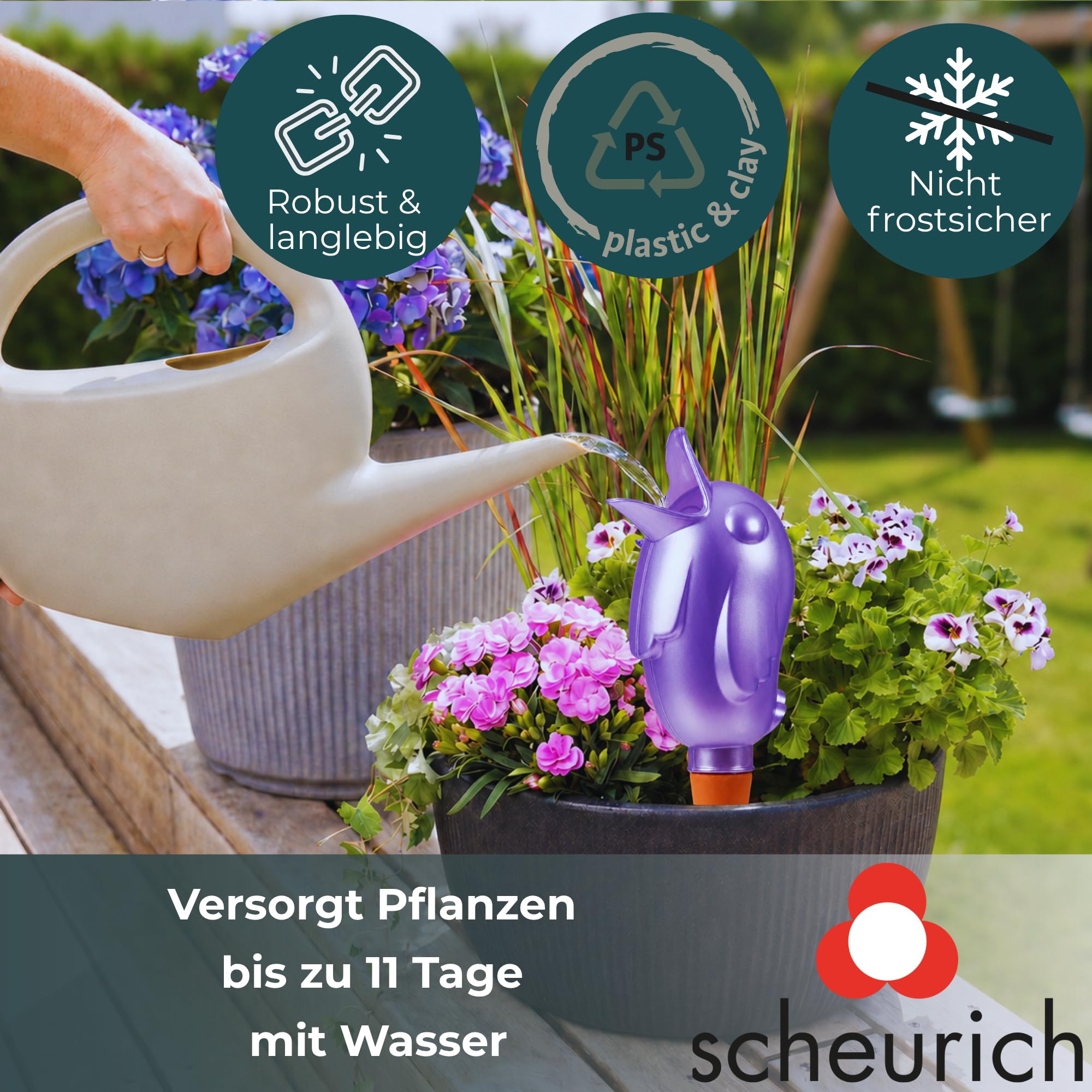 Scheurich Wasserspender XL Lila 8 Stück - 620ml Wasser für bis zu 7 Tage Purple Pearl Höhe 29 cm mit Tonkegel