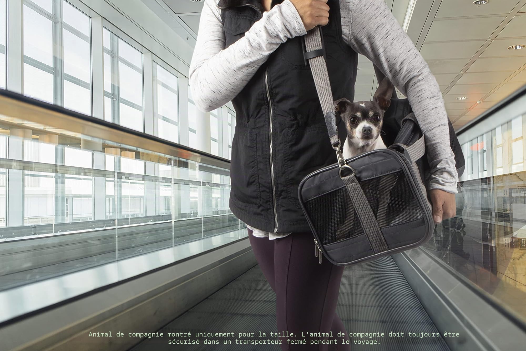 Sherpa Original Sac de Transport pour Animal de Compagnie, approuvé par Les compagnies aériennes et Garanti à Bord, Gris Anthracite, Taille S