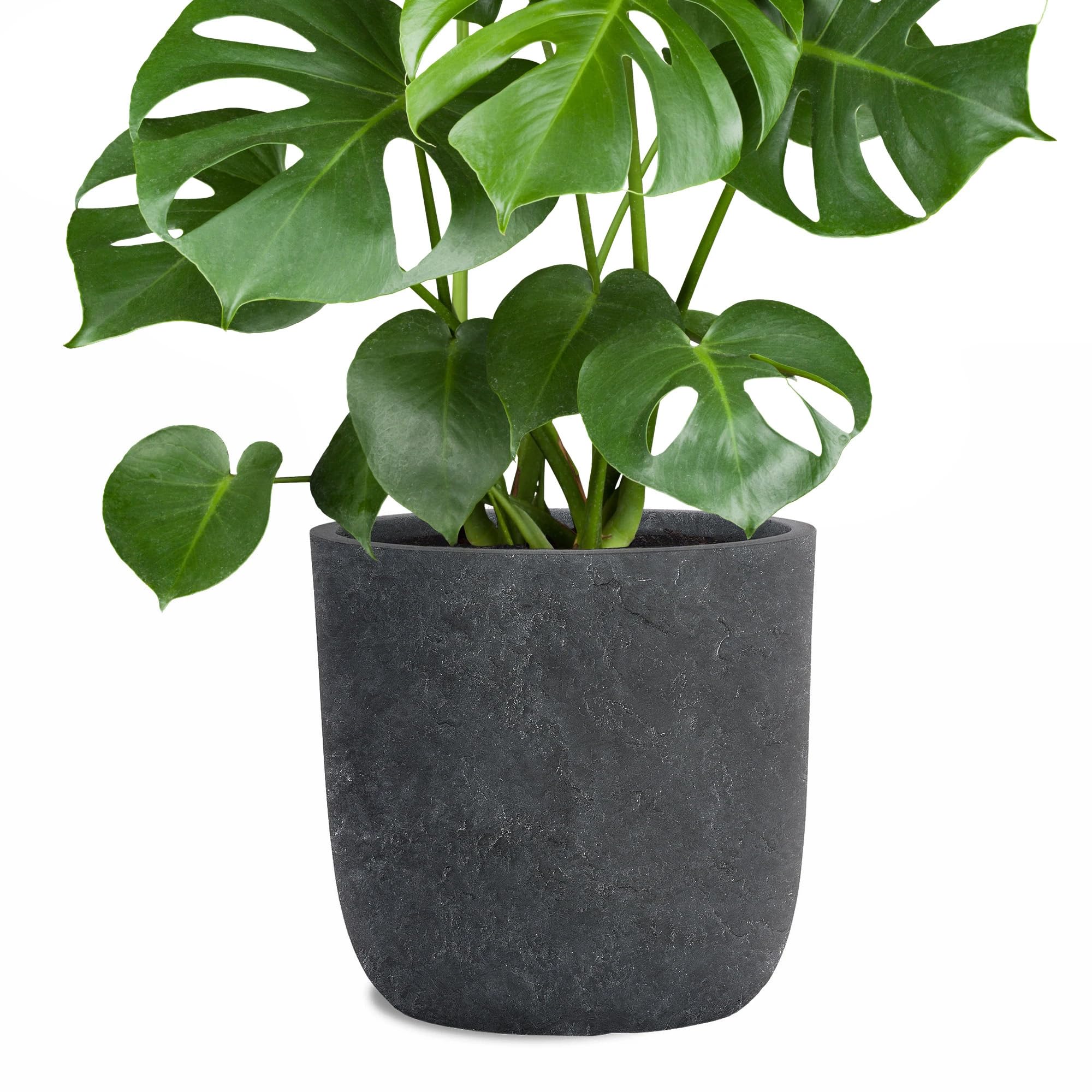 Pflanzwerk® Pot de Fleur Fibre de Verre Cup Ø51cm Lave Anthracite Jardinière antigel* *Protection UV* *Qualité européenne*