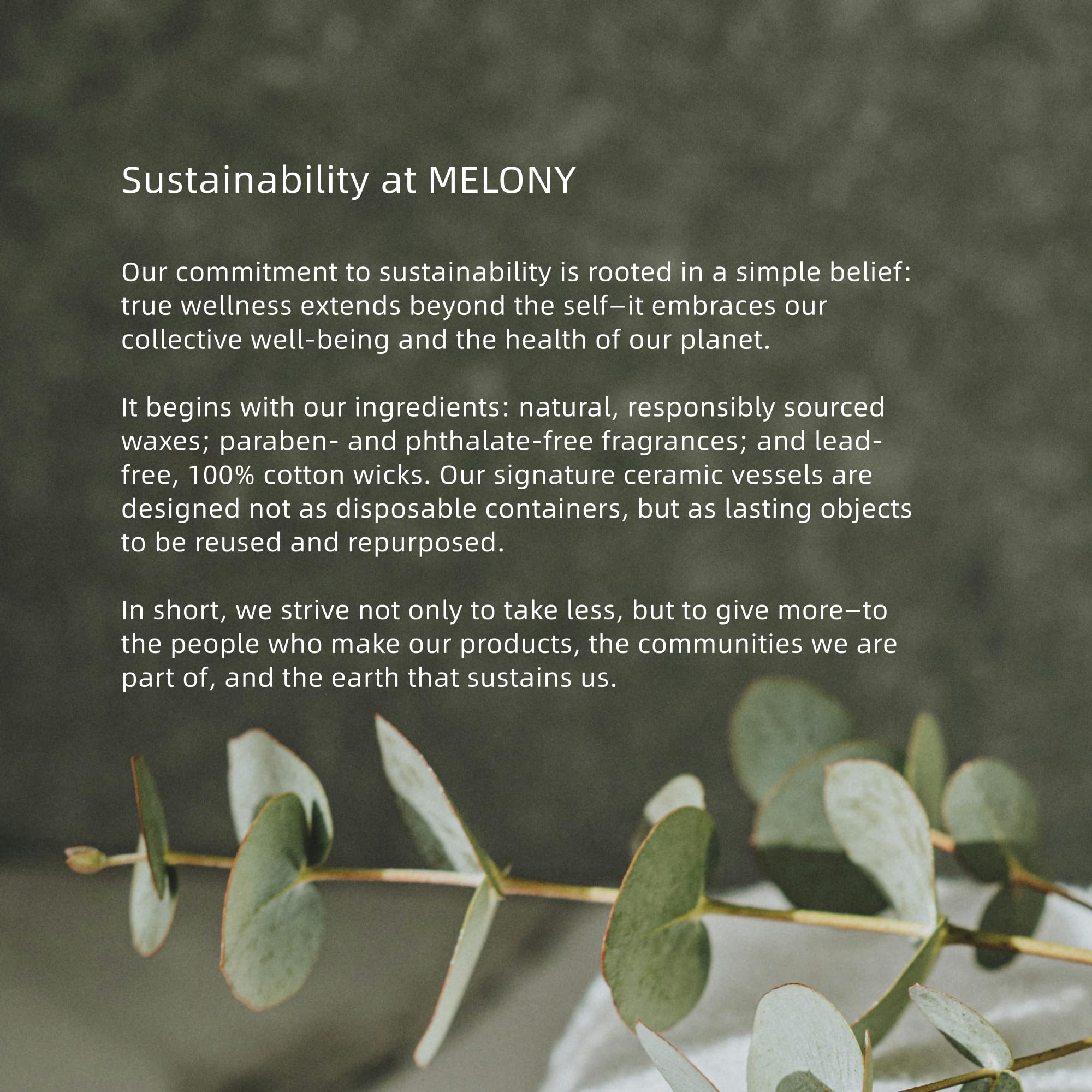 Best Massage Candle Picks for 2026, Vetted 2 MELONY Massage Oil Candle, Moisturizing, Body Oil Candle, Natural Soybeans, 8.1 — product photo